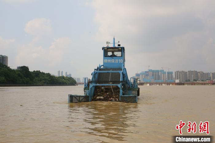 广西柳州水上保洁队正在清理江面垃圾。　林馨 摄